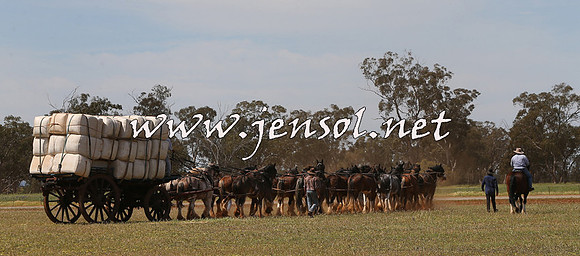 Barellan2015_0060
