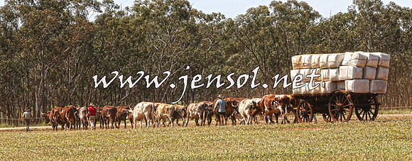 Barellan2015_0103