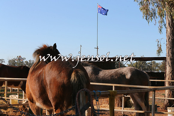Barellan2015_0318