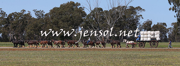 Barellan2015_0193