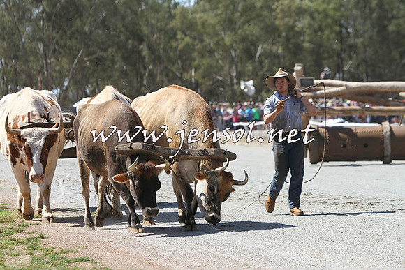 Barellan2015_2006