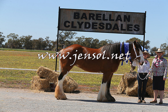 Barellan2015_0180