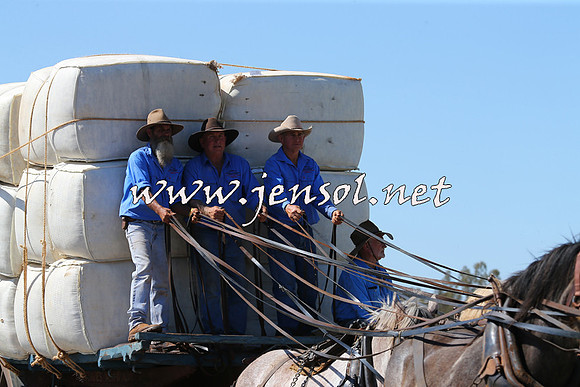 Barellan2015_0258