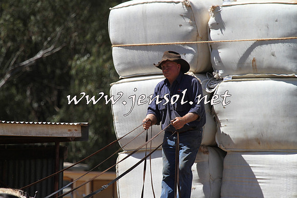 Barellan2015_2045