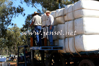 Barellan2015_0322