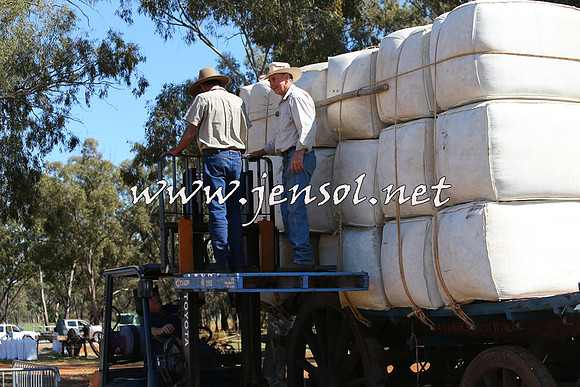 Barellan2015_0322