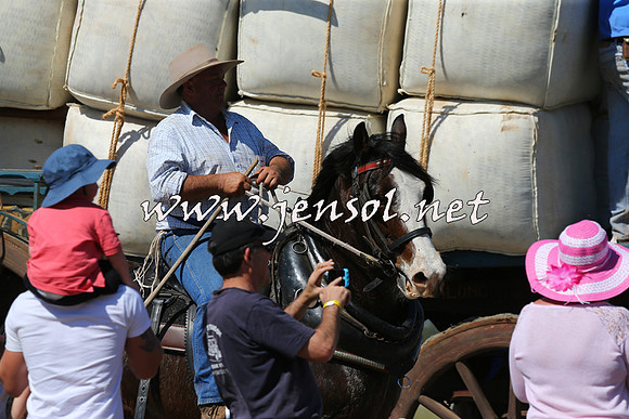 Barellan2015_0288
