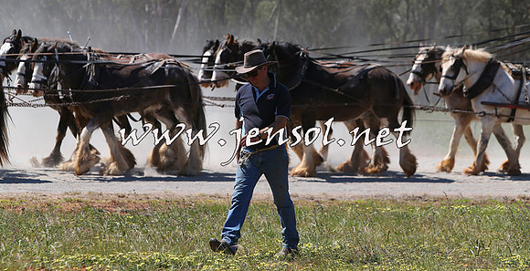 Barellan2015_0402