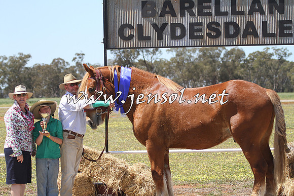 Barellan20157D_2050