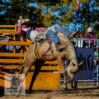 BraidwoodRodeo2015_4213