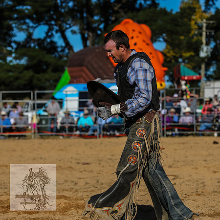 BraidwoodRodeo2015_4204