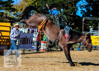 BraidwoodRodeo2015_4120