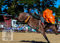 BraidwoodRodeo2015_4126