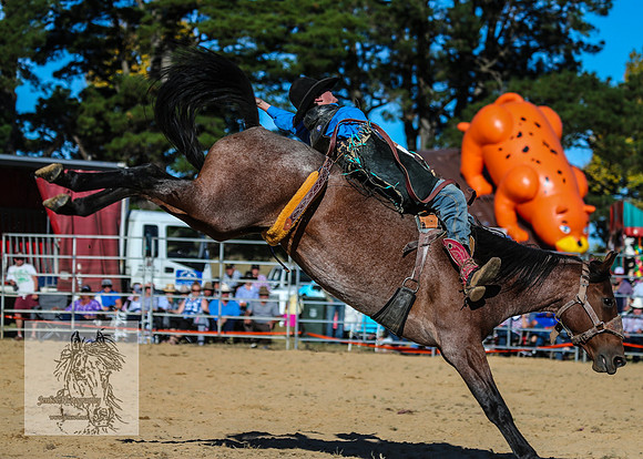 BraidwoodRodeo2015_4126
