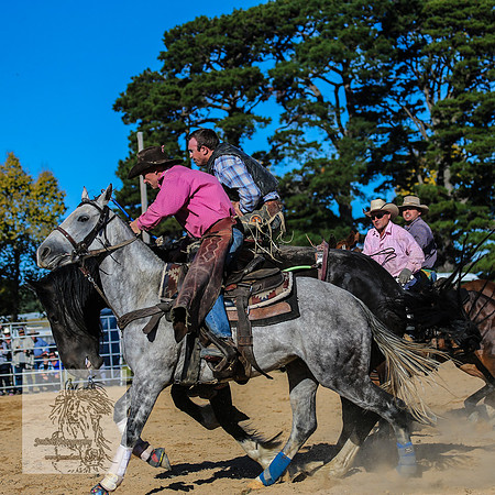 BraidwoodRodeo2015_4200
