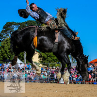 BraidwoodRodeo2015_4168