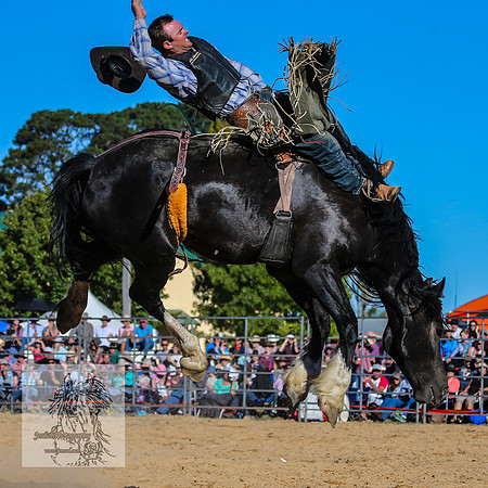 BraidwoodRodeo2015_4168