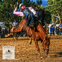 TumutRodeo2019_2917