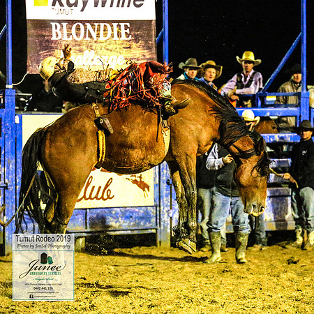 TumutRodeo2019_8588