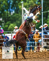 TumutRodeo2019_2976
