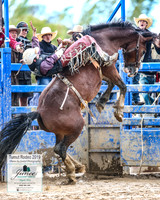 TumutRodeo2019_3012