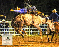 TumutRodeo2019_8446