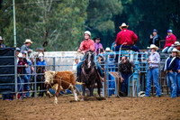 TumutRodeo2017_0251