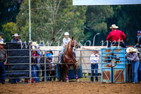 TumutRodeo2017_0255