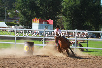 CoomaABHA2014_0003
