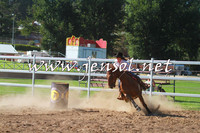 CoomaABHA2014_0004