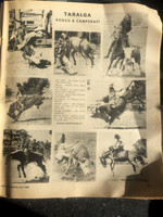 Taralga1_3327