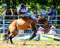 TumbarumbaRodeo2024_0732