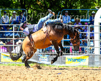 TumbarumbaRodeo2024_0748