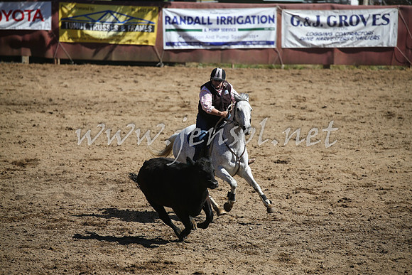 TumutCampdraft2016_2242