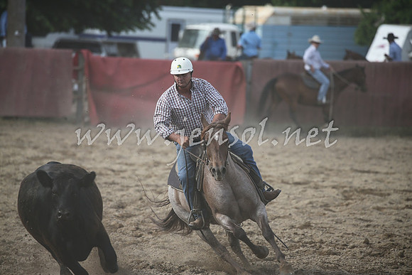 TumutCampdraft2016_0852