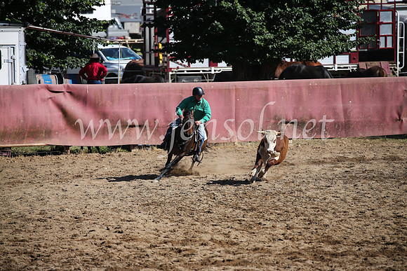 TumutCampdraft2016_6158