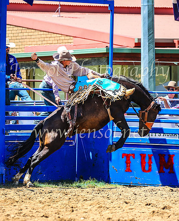 TumbarumbaRodeo2024_1581