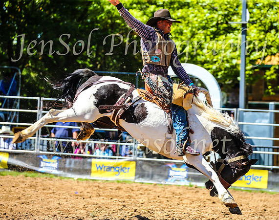 TumbarumbaRodeo2024_1042