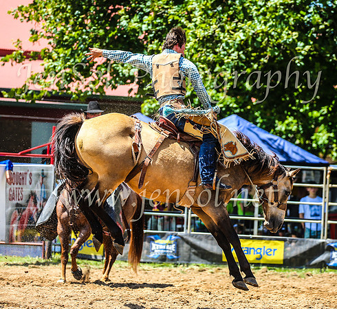 TumbarumbaRodeo2024_1564