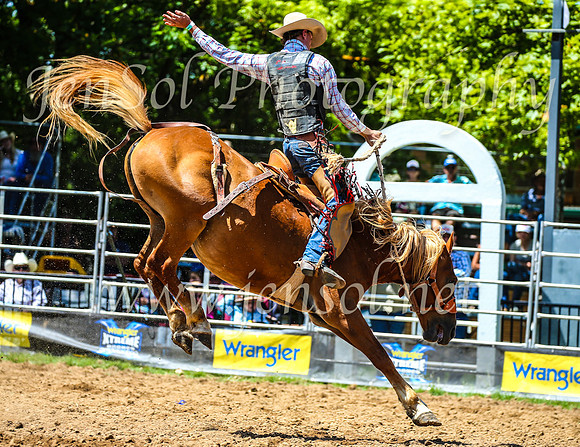 TumbarumbaRodeo2024_1506