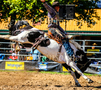 TumbarumbaRodeo2024_1033
