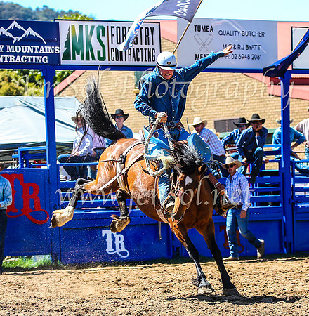 TumbarumbaRodeo2024_1079