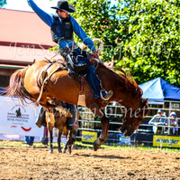 TumbarumbaRodeo2024_0238