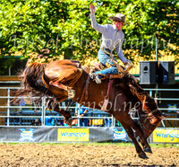 TumbarumbaRodeo2024_0211
