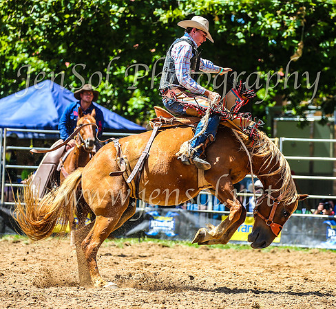 TumbarumbaRodeo2024_1491