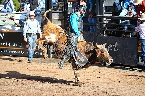 CoonambleRodeoCampdraftSat_0422