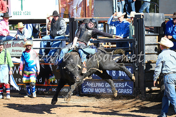CoonambleRodeoCampdraftSat_0678