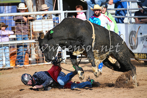 CoonambleRodeoCampdraftSat_0462