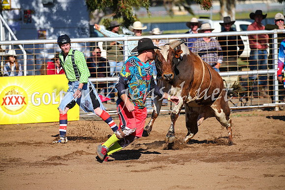 CoonambleRodeoCampdraftSat_0646