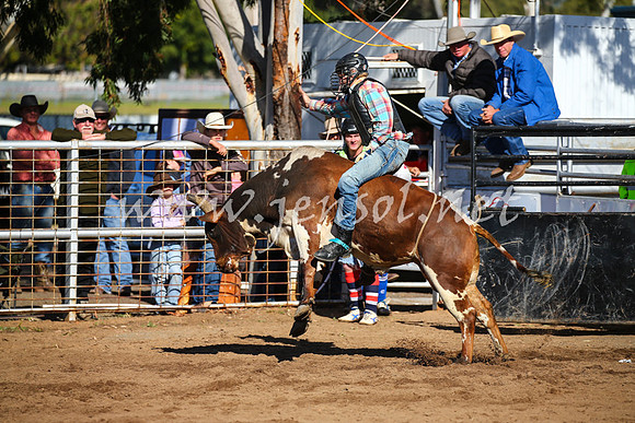 CoonambleRodeoCampdraftSat_0621